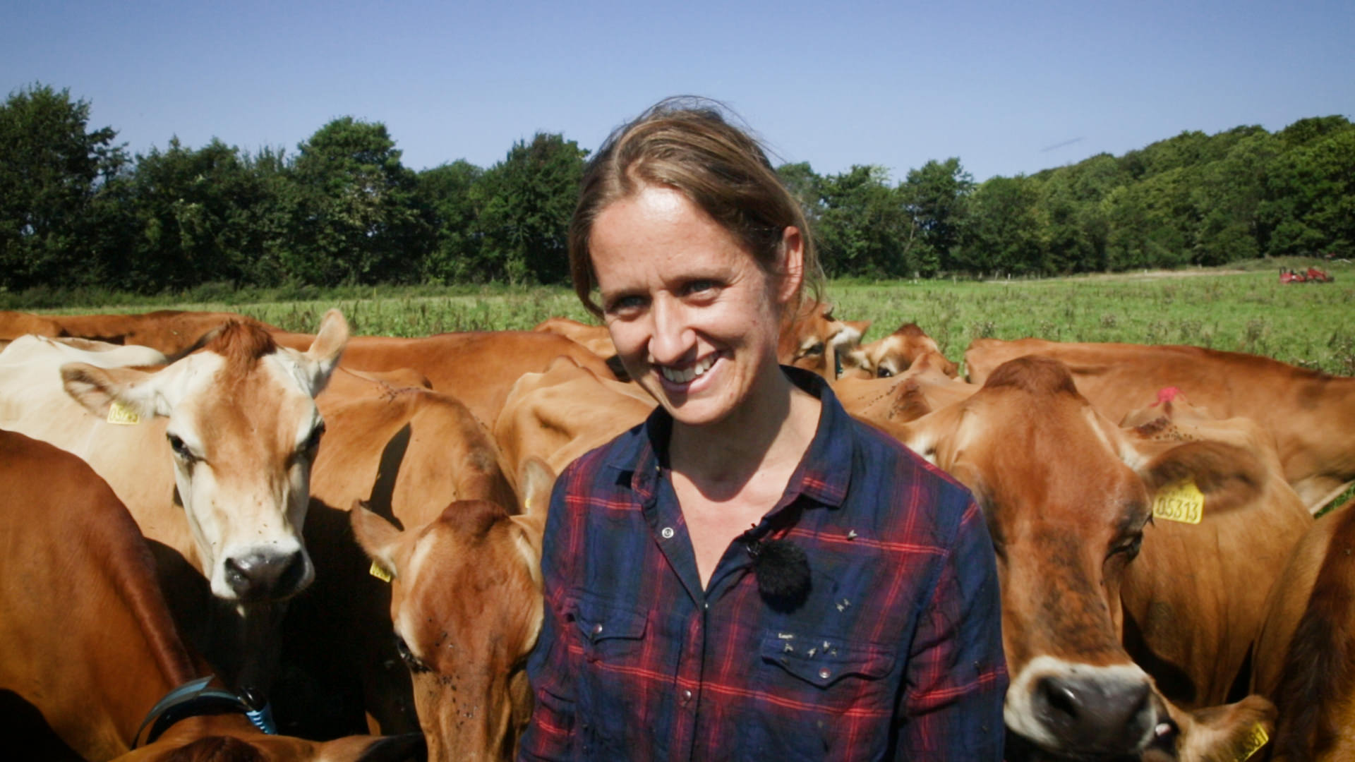 Kristine Dalbach står smilende på en mark omgivet af køer.