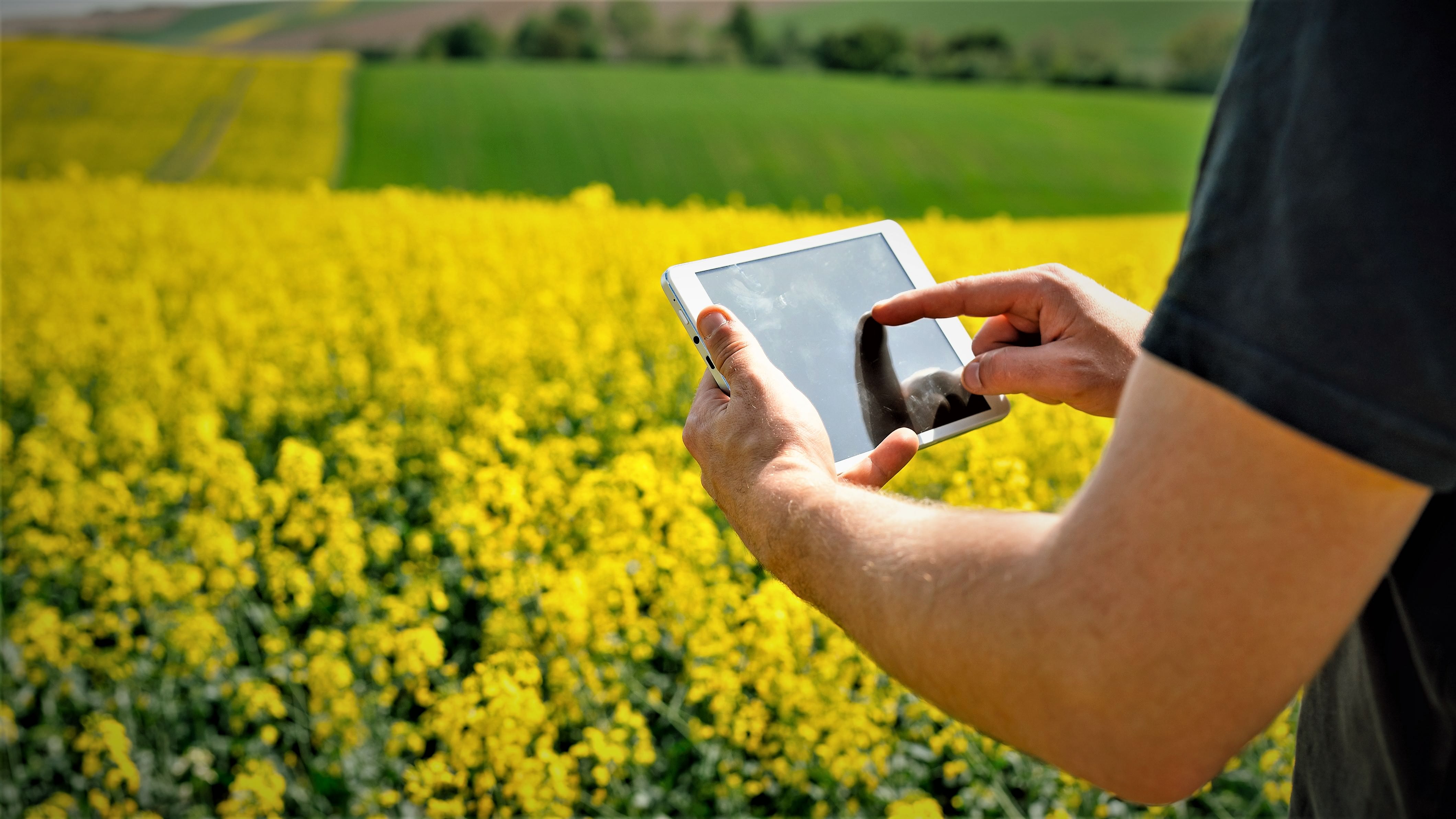 En landmand står med en tablet på marken