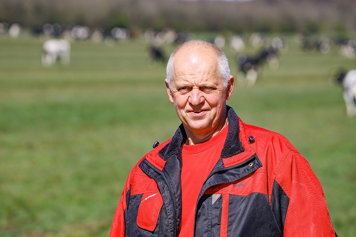 Mads Helms har gennem flere år arbejdet med at udvikle et koncept, hvor ko og kalv går sammen i flere uger, inden de adskilles, og han er ikke i tvivl om, at det kan være med til at sikre en højere dyrevelfærd for både ko og kalv.