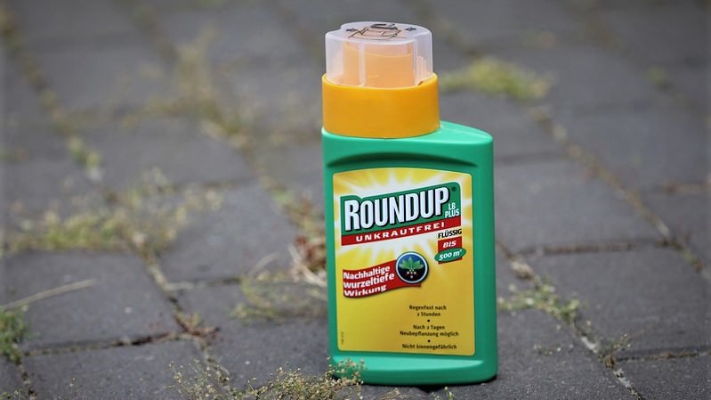 En Roundup-flaske står på nogle fliser