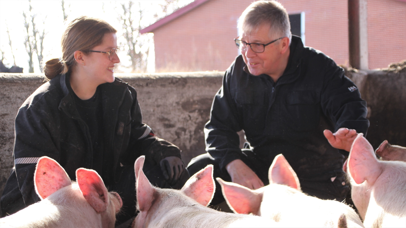 Søren Peter Hansen og en elev kigger på grisenes adfærd