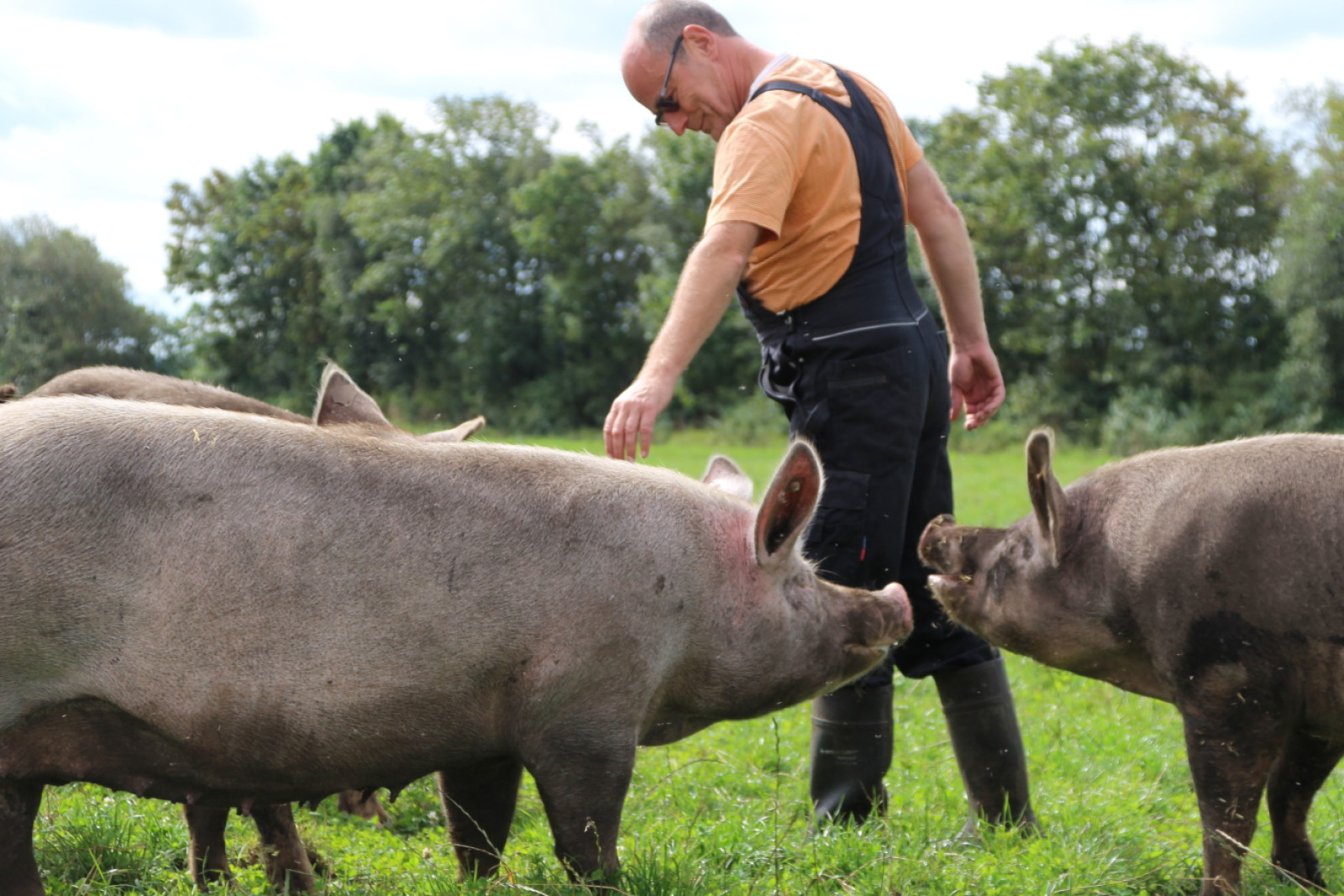 Som bedriftsdyrlæge kommer Niels Peter Baadsgaard meget tættere på de enkelete besætninger og kan hurtigere gribe ind, hvis grisene har behov for behandling