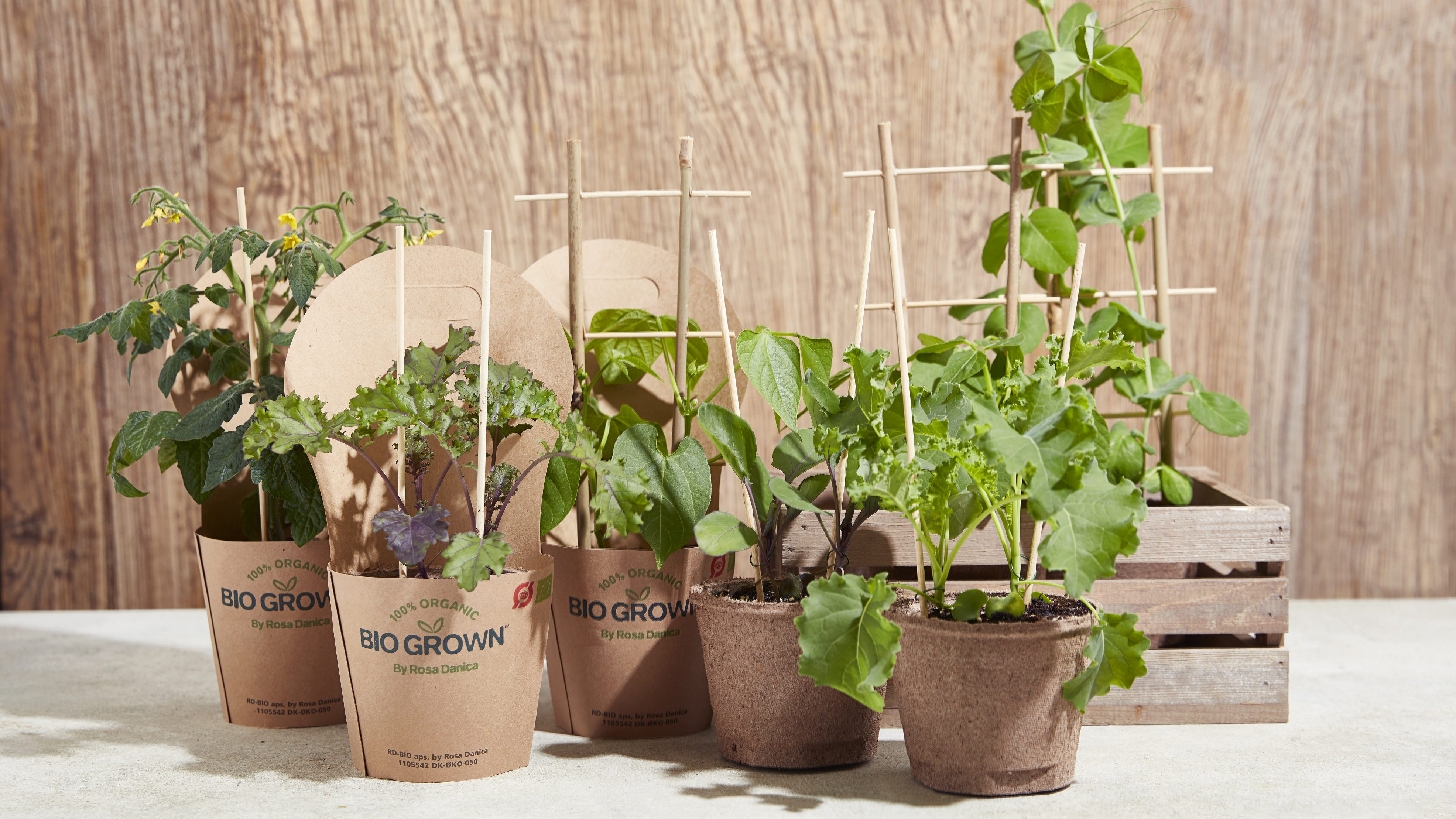 Gartneriet Rosa Danica begyndte i foråret at sælge økologiske udplantningsplanter under navnet Bio Grown via Nemlig.com og det blev en kæmpe succes