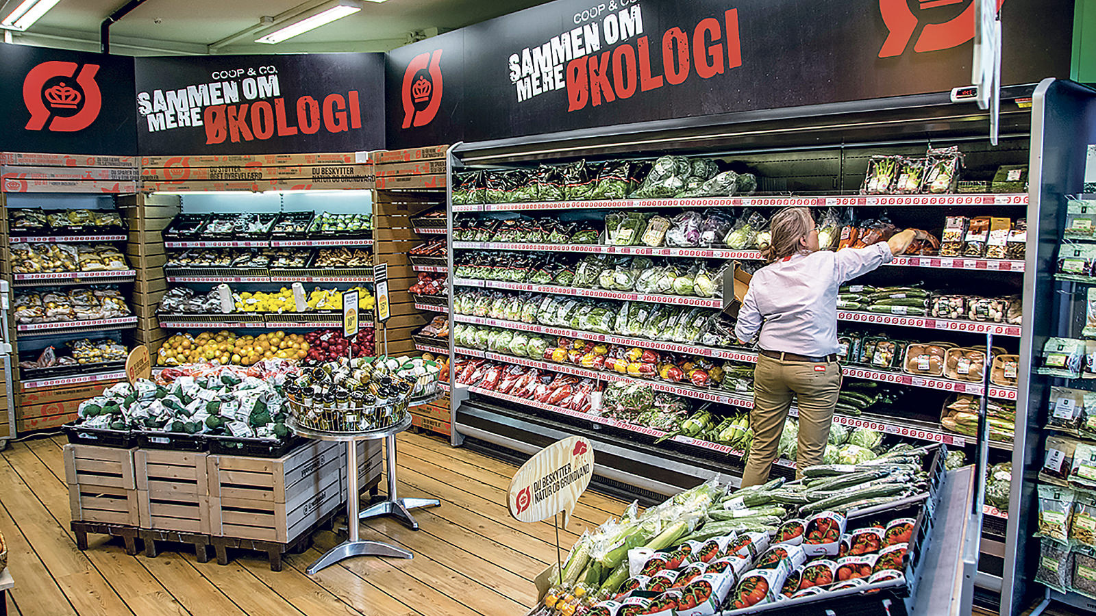 En medarbejder i SuperBrugsen er ved at lægge grønsager på plads i frugt- og grøntafdelingen med økologiske varer.