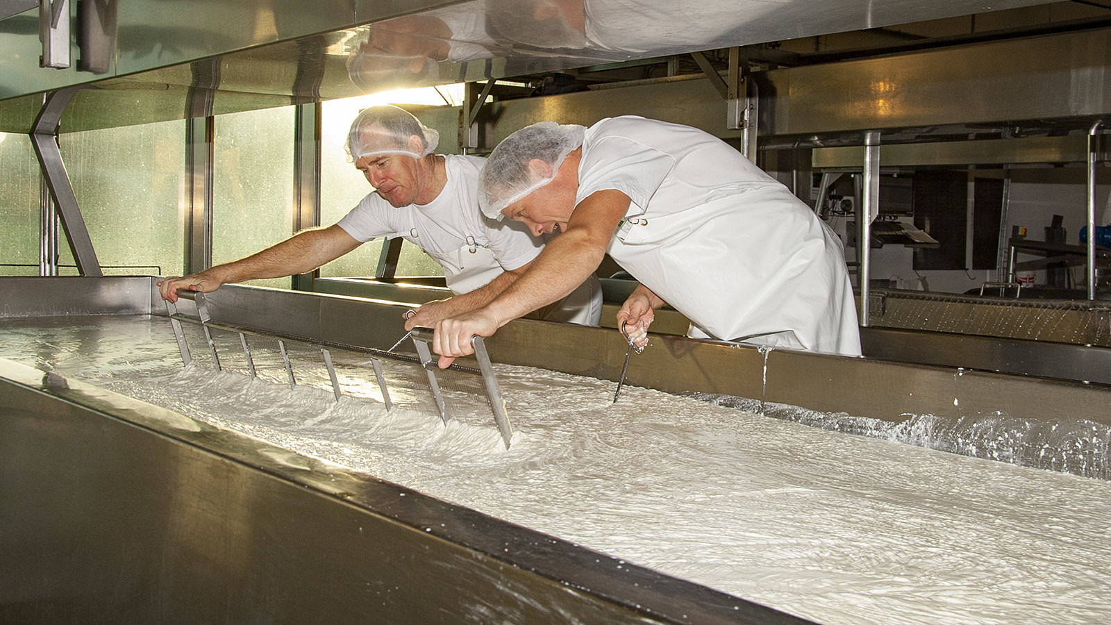 To Thise-medarbejdere arbejder med den friske ost i ostekarret