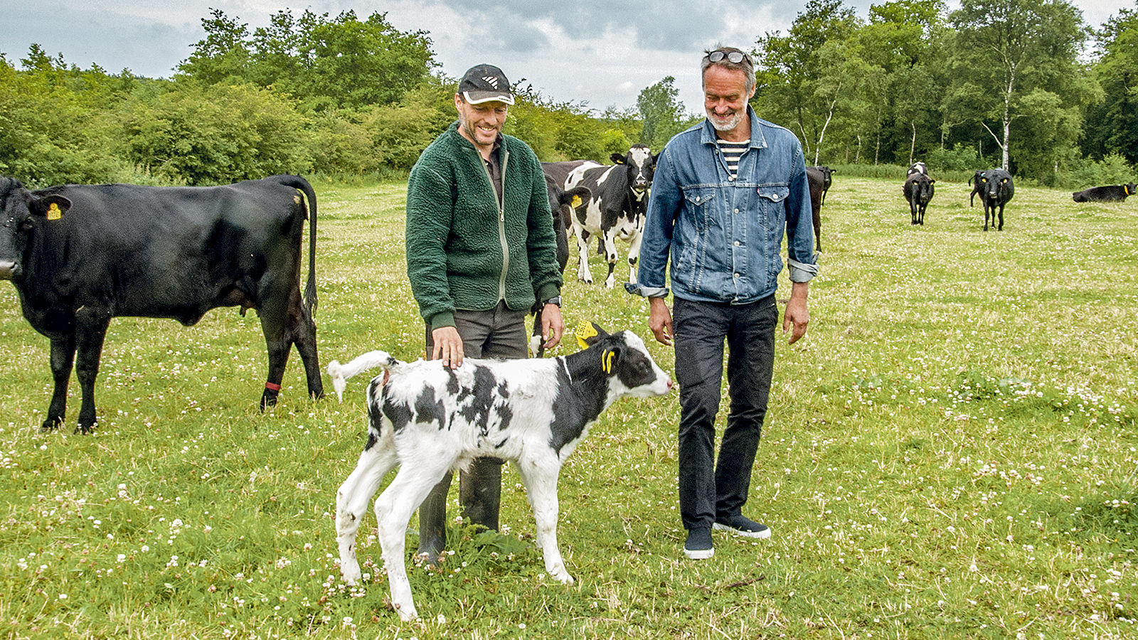 Torsten Wetche og Mogens Poulsen fra Thise Mejeri står på græsmark med en flok køer.