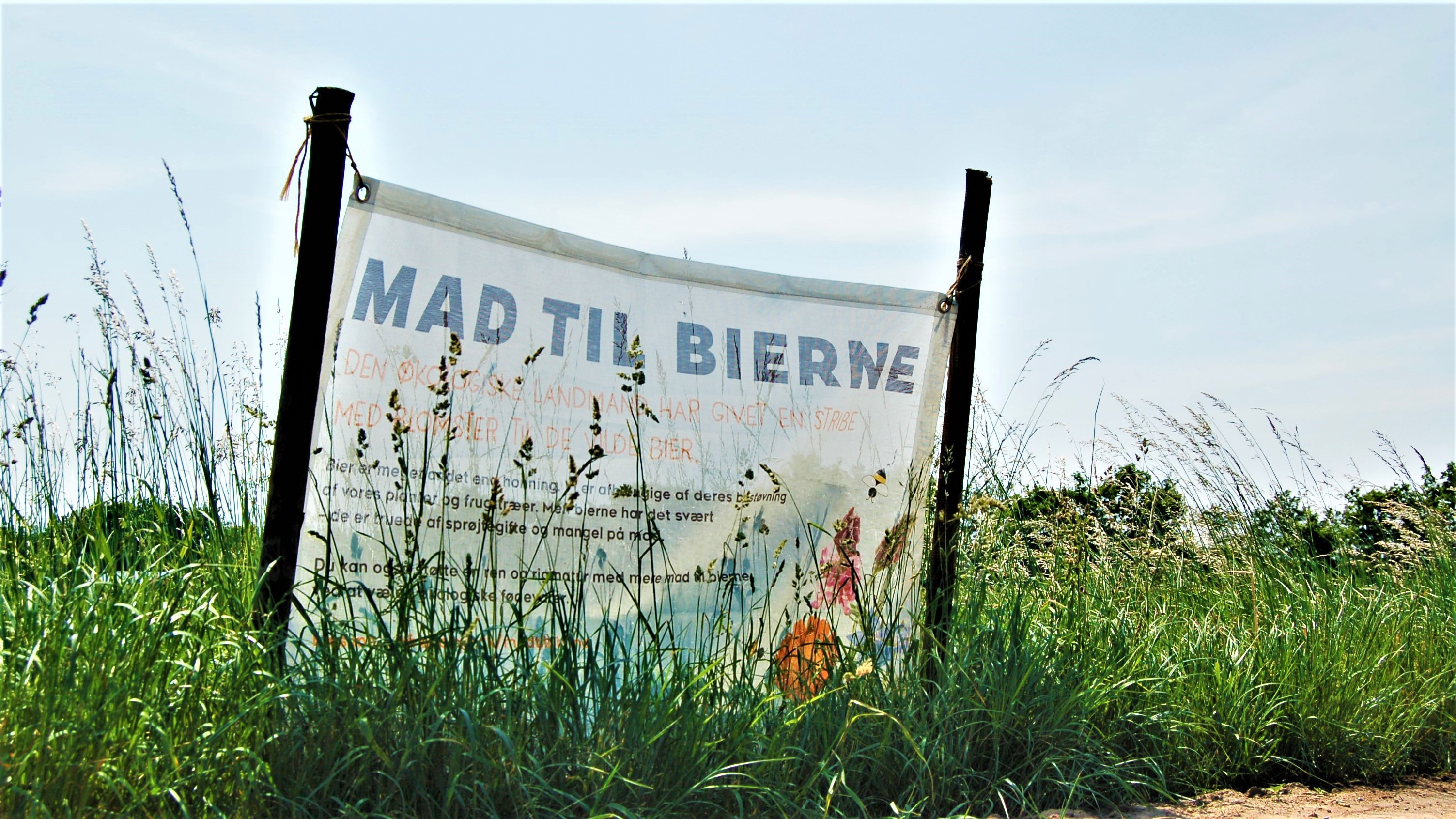 En banner på en græsmark reklamerer for frøposen 