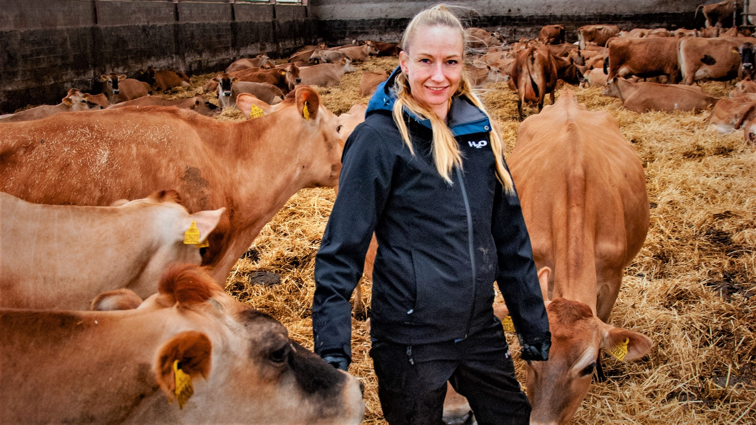 Julie Henriksen står i en stald med køer