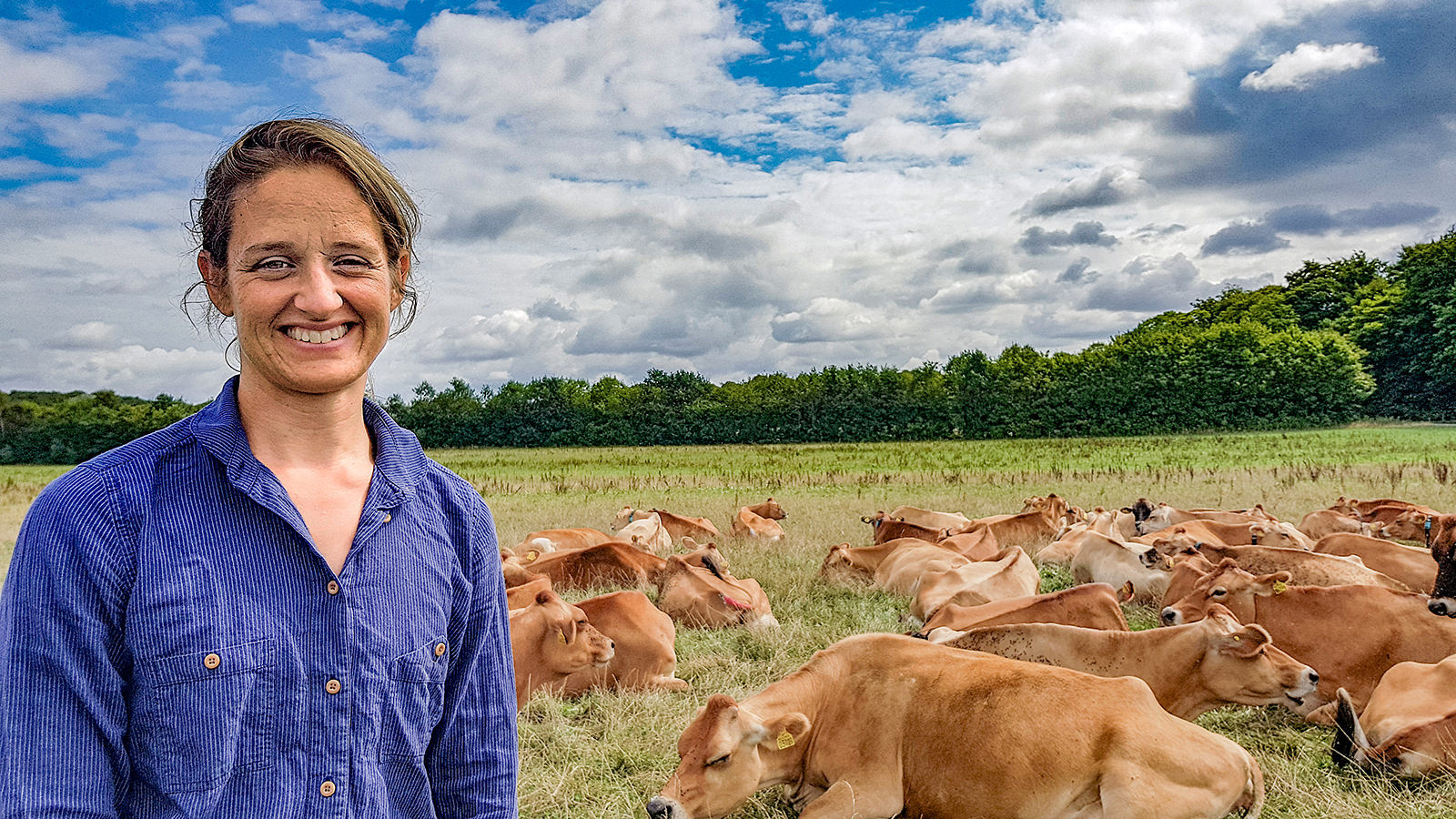 Kristine Dalbach i marken blandt hvilende køer
