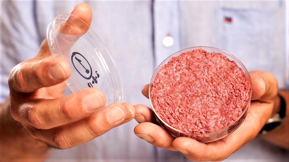 En person viser hakket in vitro-kød