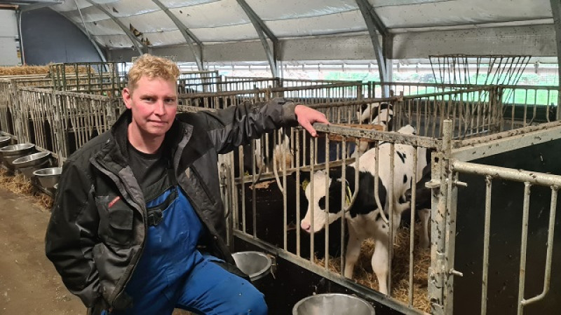 Thorsten Dahl i sin stald med kvæg