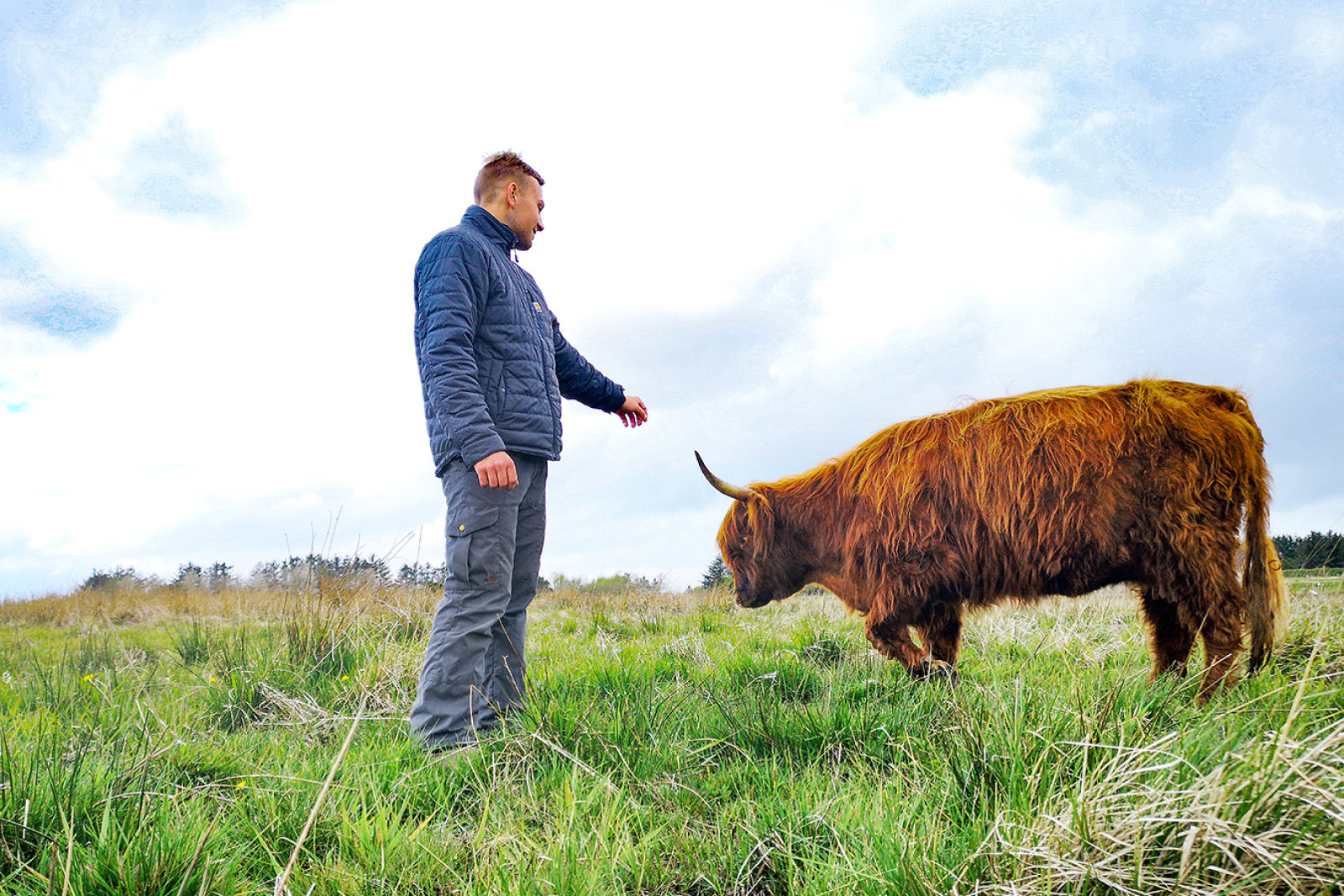 Viktor Kristensen Riise i marken hos kvæget
