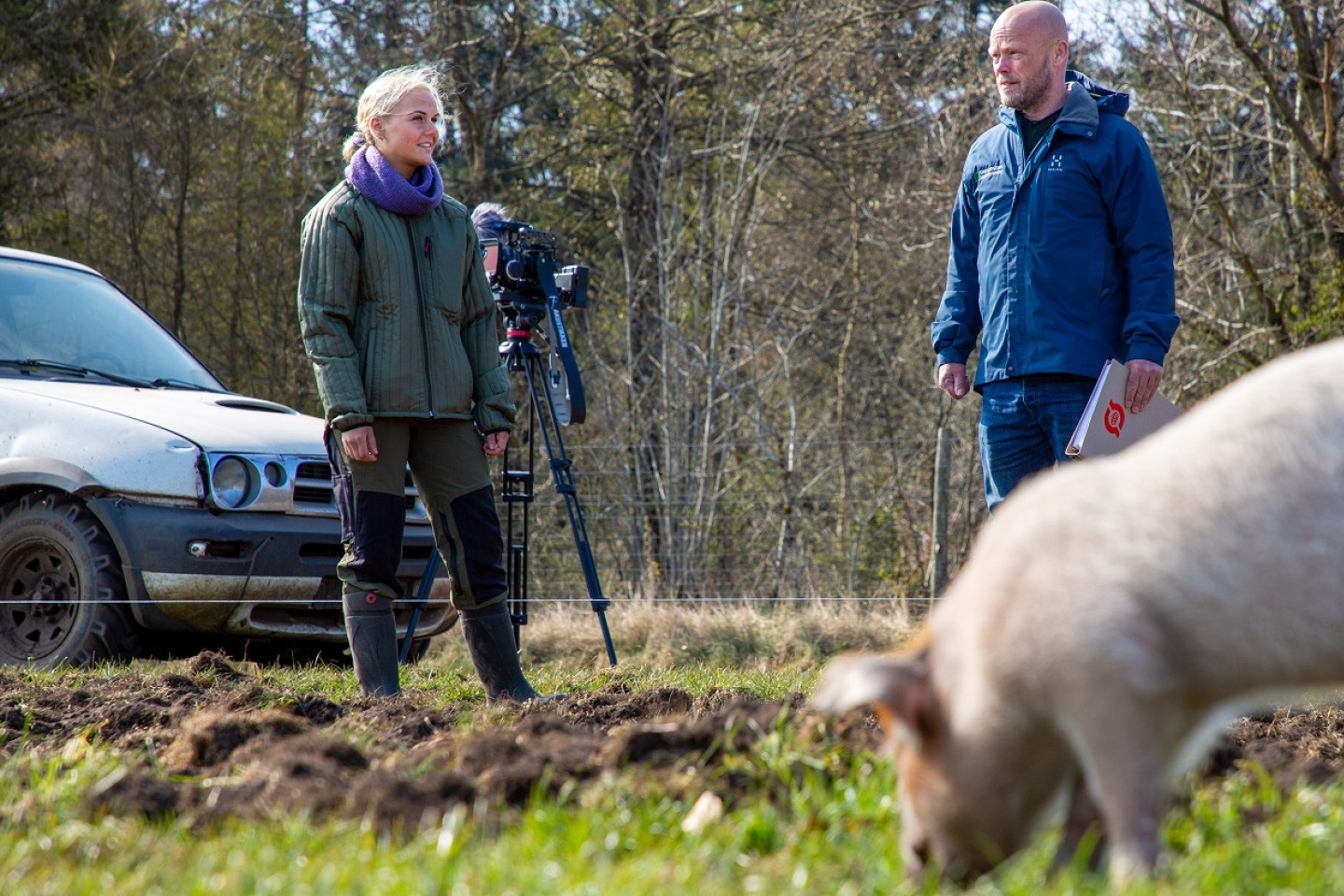 Stella Lund står på marken med Jens Peter Hermansen - en gris går i forgrunden