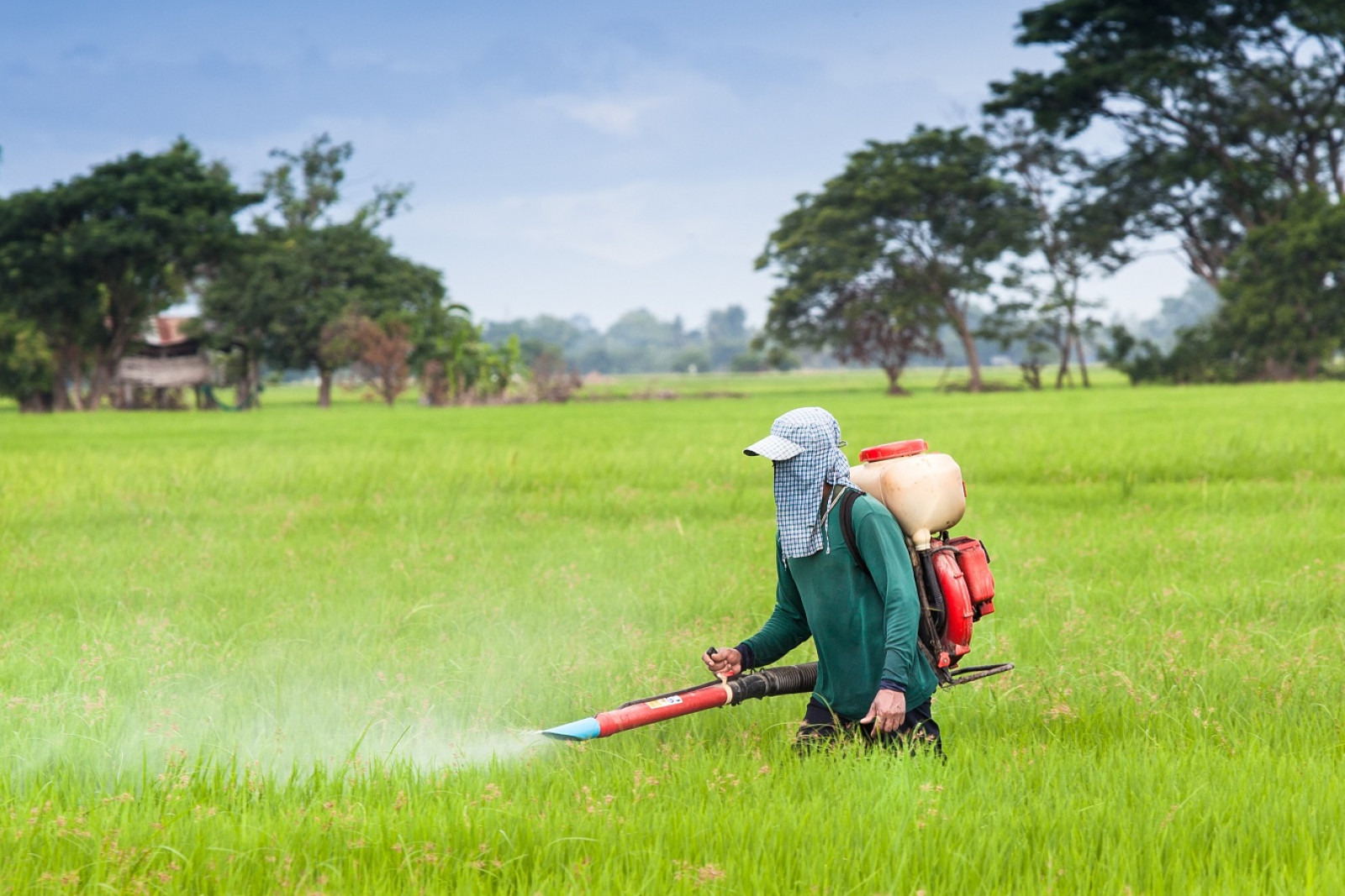 Indonesisk bonde i marken med håndholdt giftsprøjte