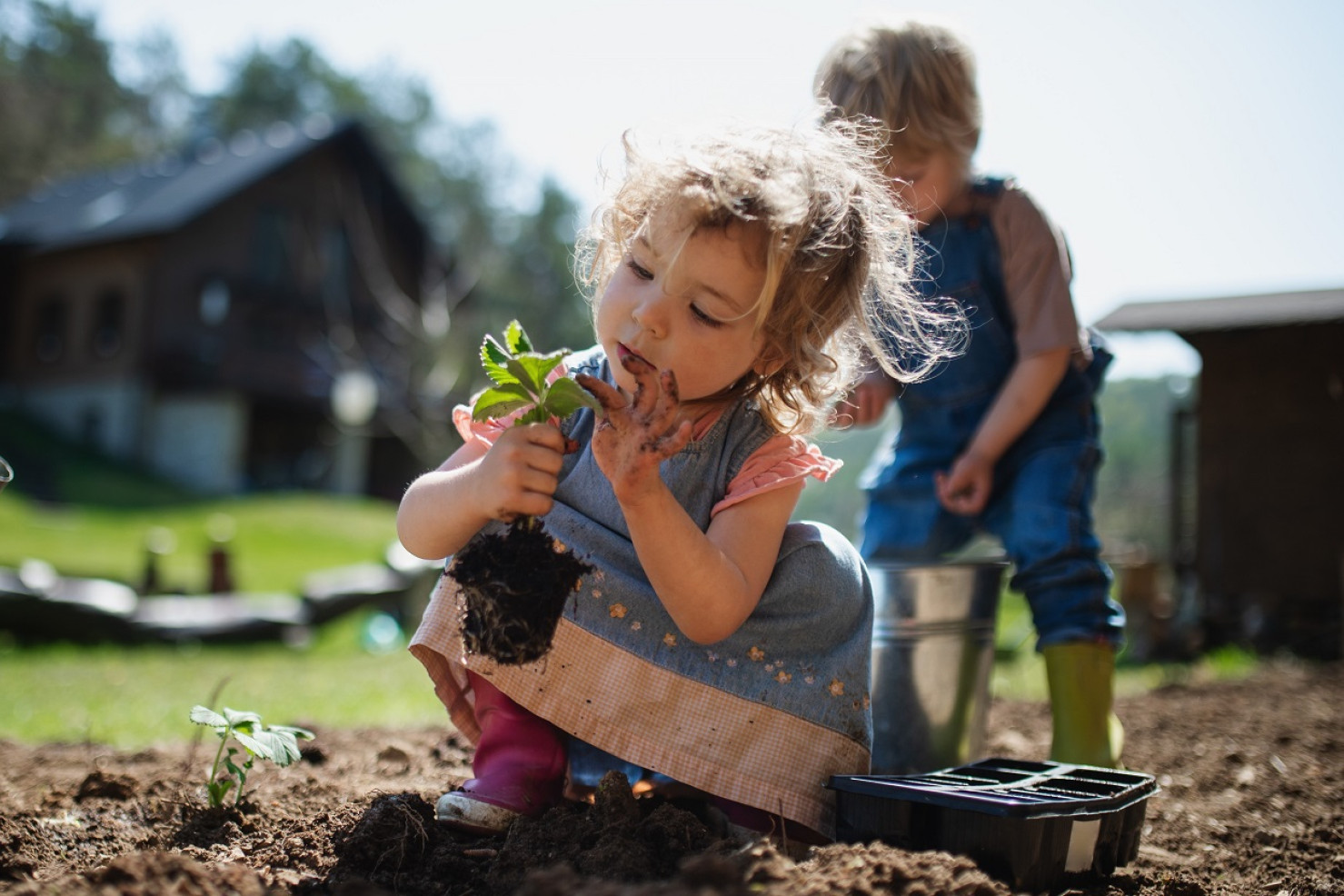 Børn er ved at sætte planter i jorden