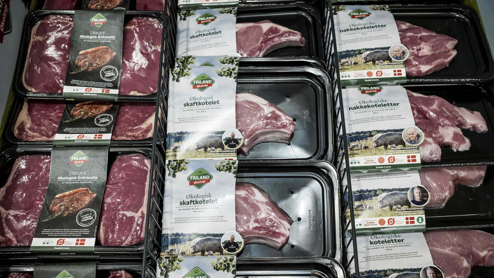 Et kig ned i køledisken hos Meny i Norhavnen i København afslører et stort udvalg af økologisk kød