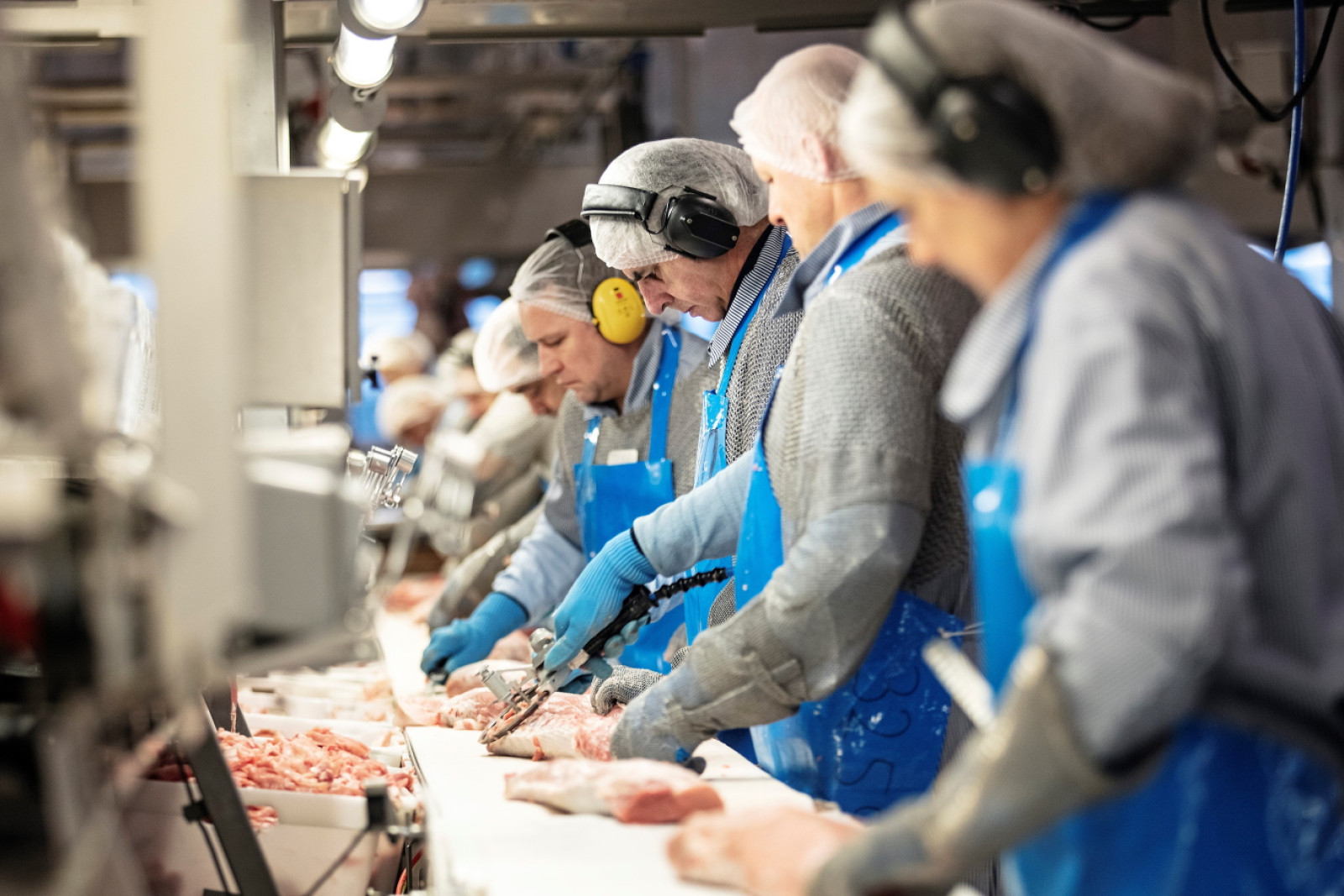 Slagteriarbejdere udskærer kød på DC-slagteri i Horsens.