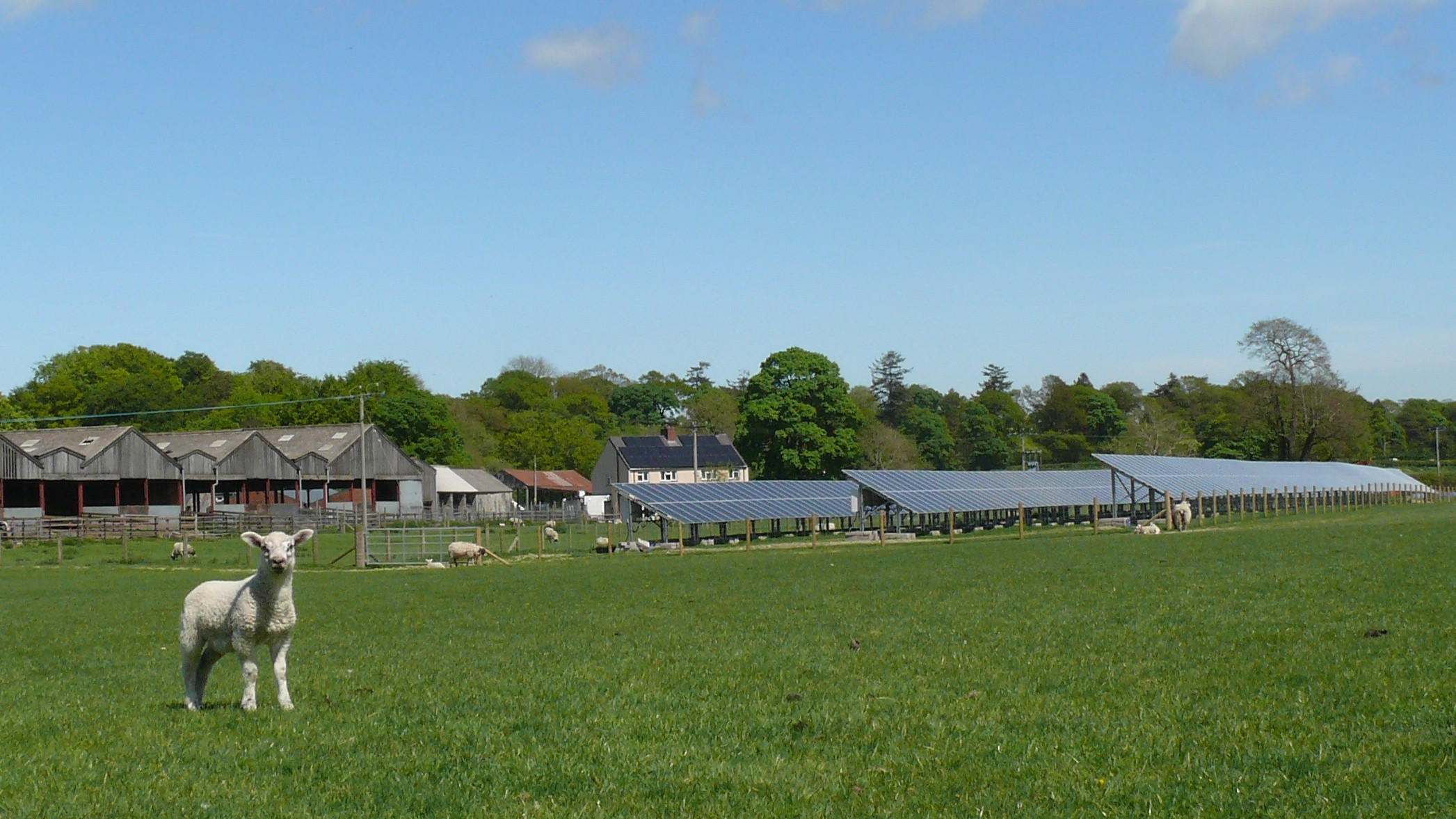 Solpaneler er med til at forsyne The Rhug Estate med vedvarende energi, og den overskydende energi sendes videre ud i elnettet, så andre kan bruge det
