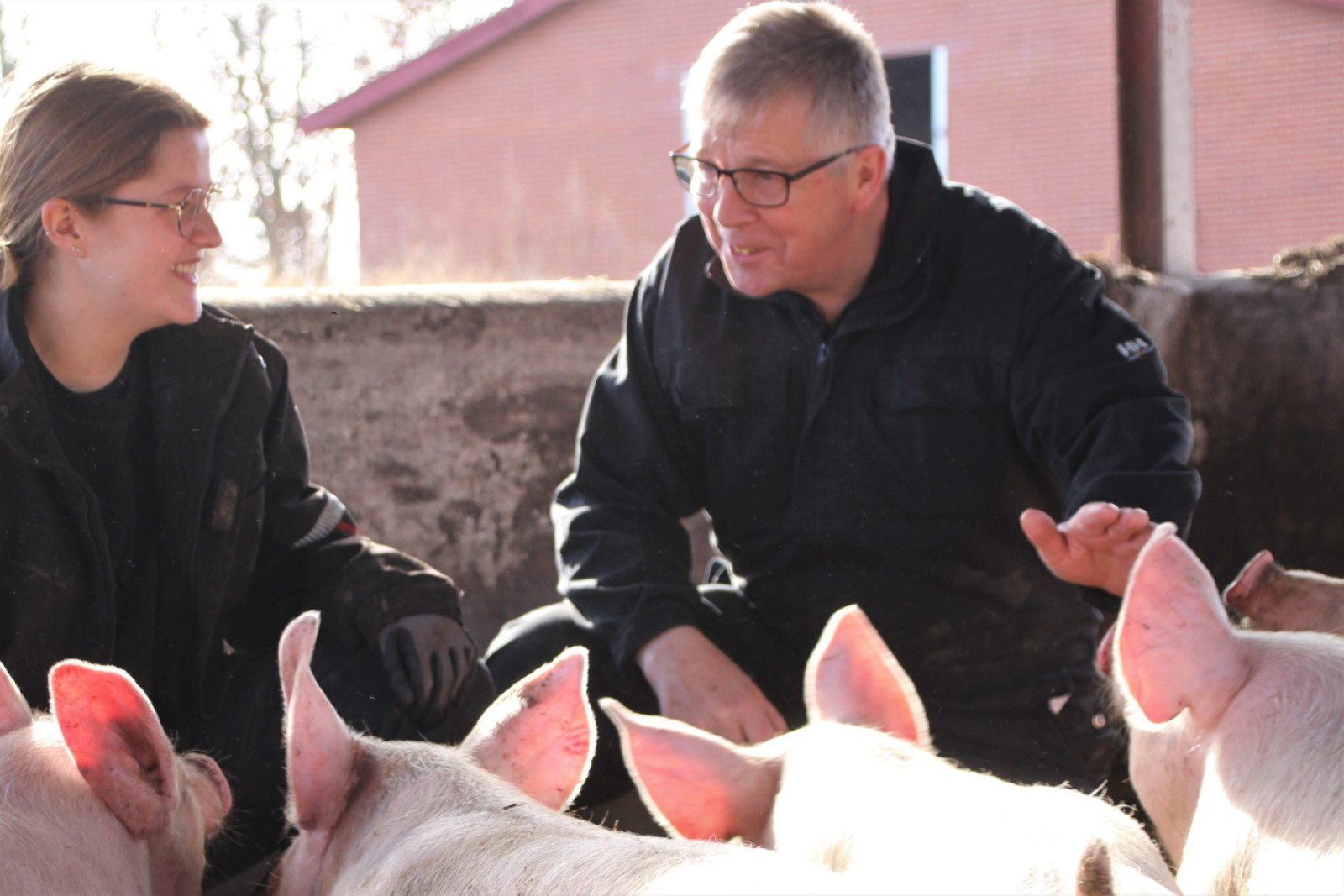 Søren Peter Hansen og en elev kigger på grisenes adfærd