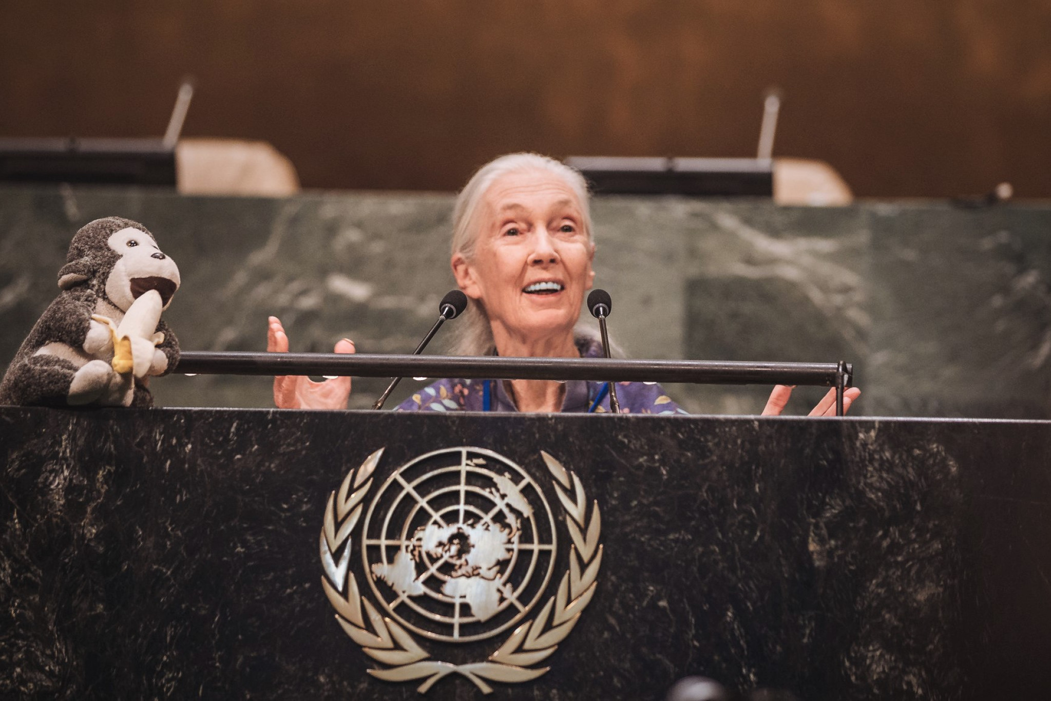Jane Goodall står på talerstolen og taler for FN-forsamlingen