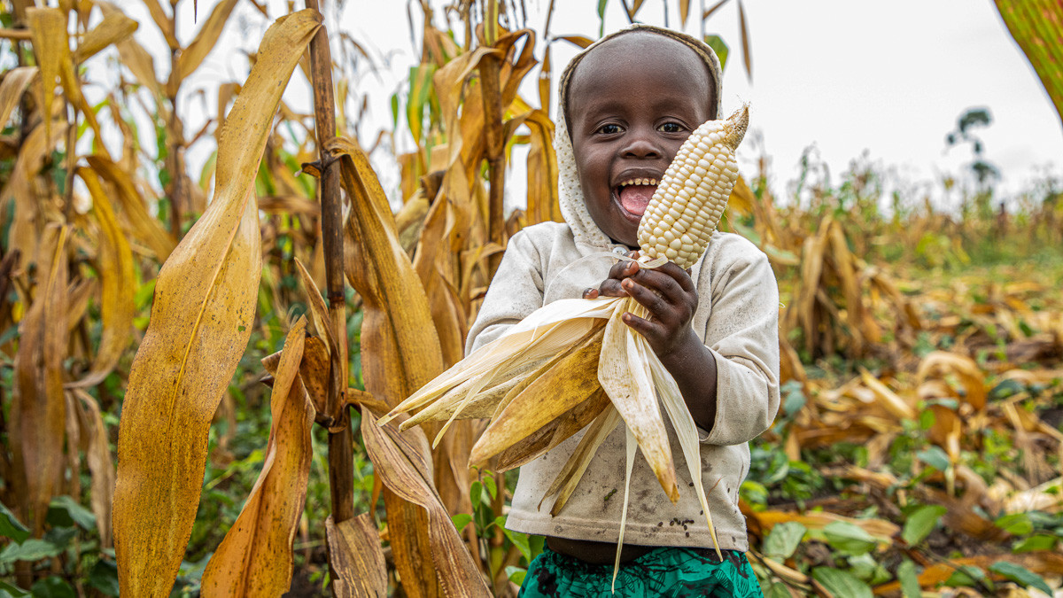 Et ugandisk barn står og smiler med en majskolbe i hånden