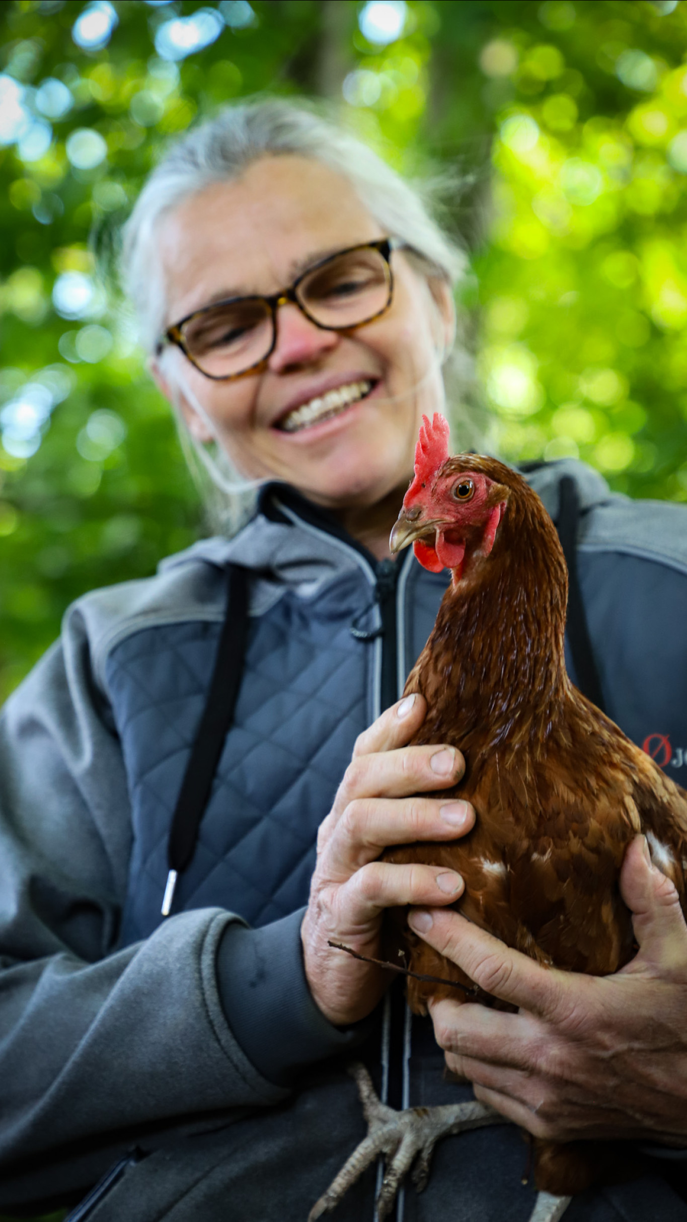 Ingeborg Aamand Holm har stadig nogle få høns til eget forbrug gående under træerne, men hendes besætning på 9000 økologiske høns er væk pga. fugleinfluenza