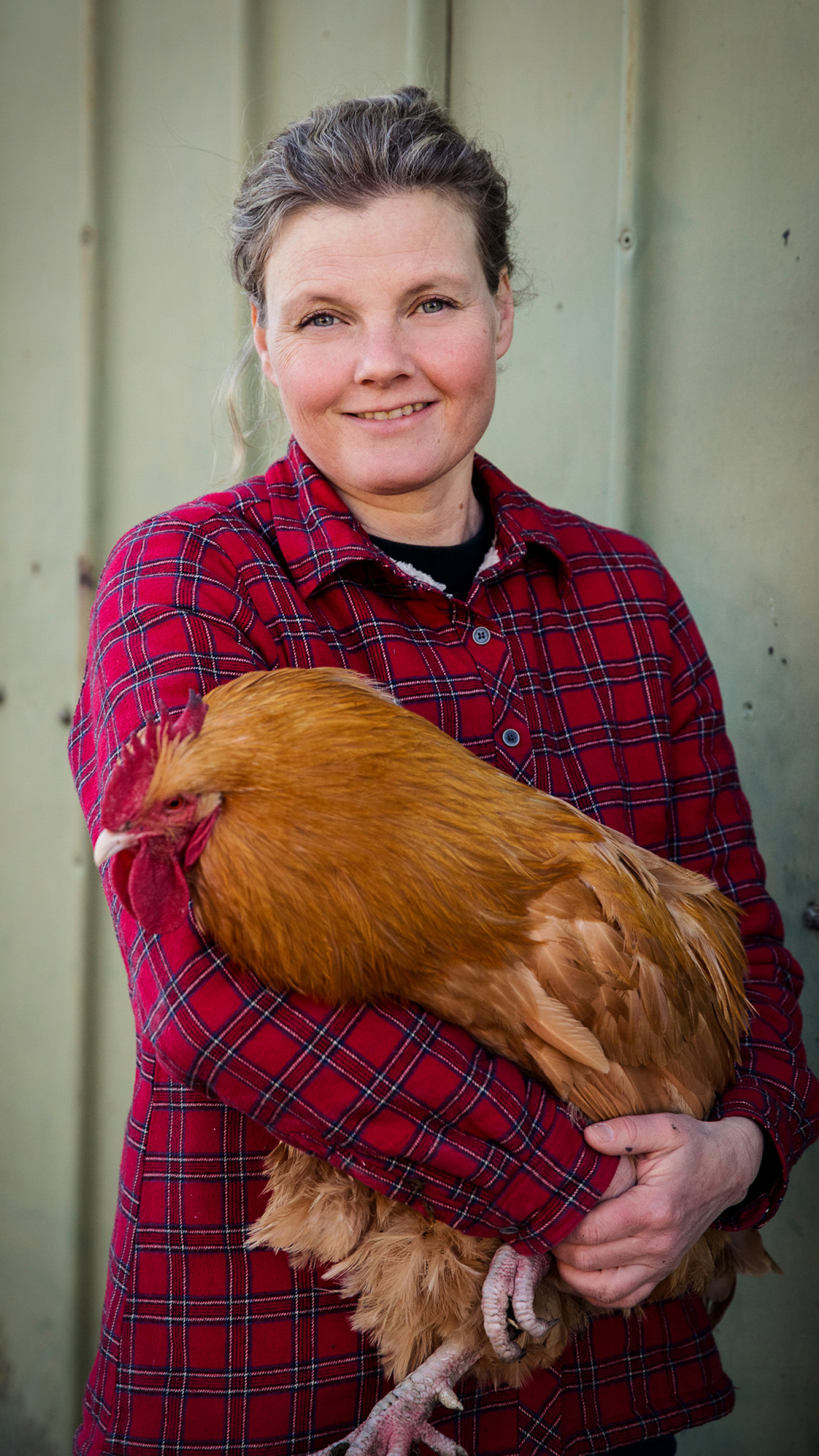 Gennem de seneste fem vintre har Johanne Schimmings høns været inde om vinteren pga. indelukningskrav. Hun frygter, at der nu forsvinder en masse småskalaproducenter, der lever af at sælge æg og fjerkræ af høj kvalitet direkte til forbrugeren