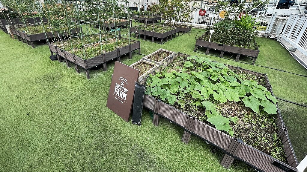 Urban Farming i Hong Kong