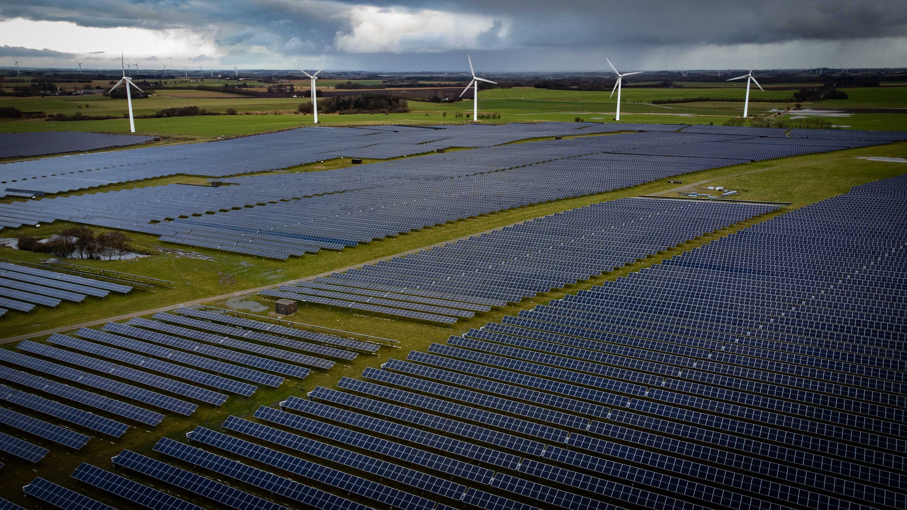 På billedet ses solceller og vindmøller på Harre Solarpark i Salling